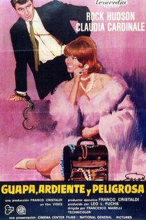 دانلود دوبله فارسی فیلم A Fine Pair 1968