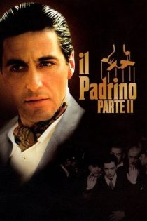 دانلود دوبله فارسی فیلم The Godfather: Part II 1974