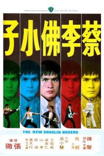 دانلود دوبله فارسی فیلم The New Shaolin Boxers 1976