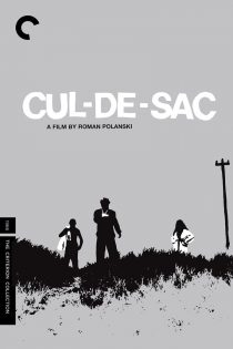 دانلود فیلم Cul-de-sac 1966