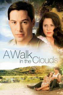 دانلود فیلم A Walk in the Clouds 1995