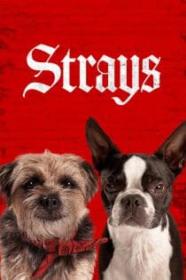 دانلود دوبله فارسی فیلم Strays 2023