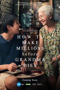 دانلود فیلم How to Make Millions Before Grandma Dies 2024